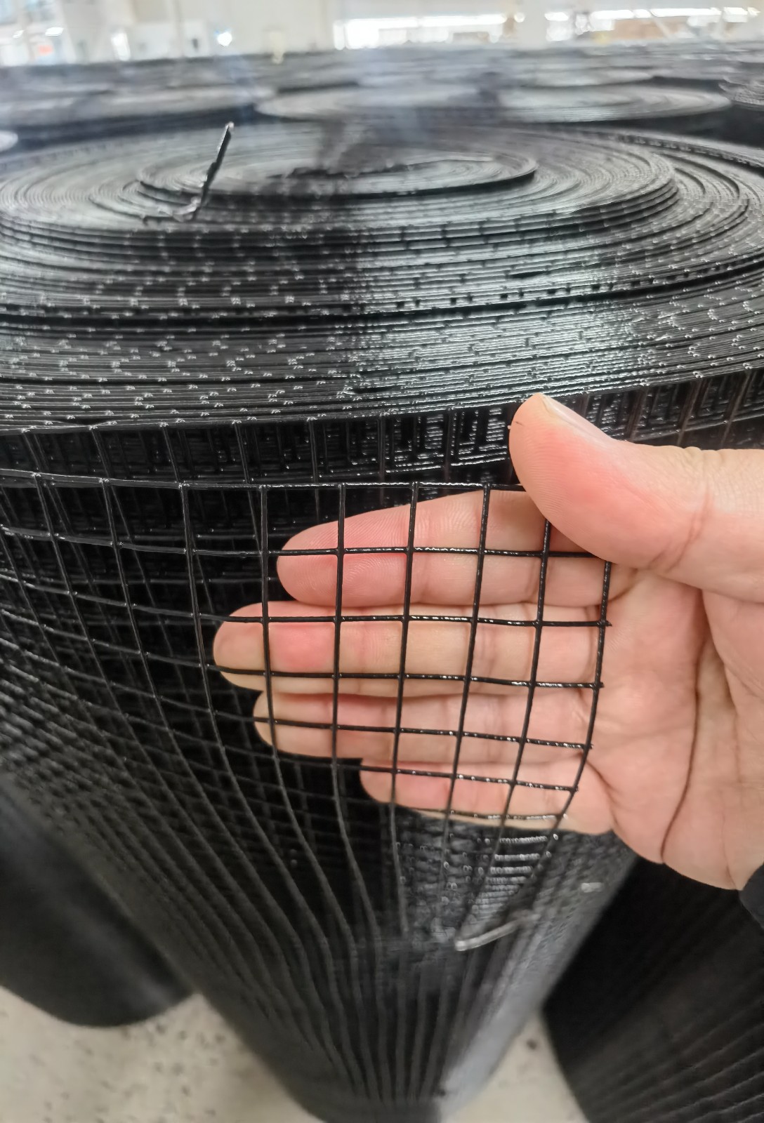 Galvanized Welded Wire Mesh