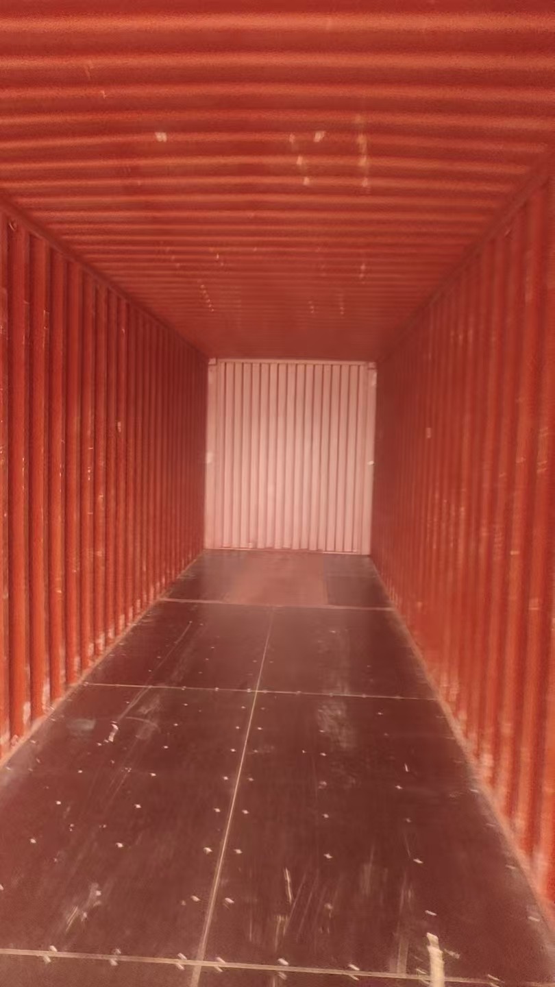 Galvanized Welded Wire Mesh