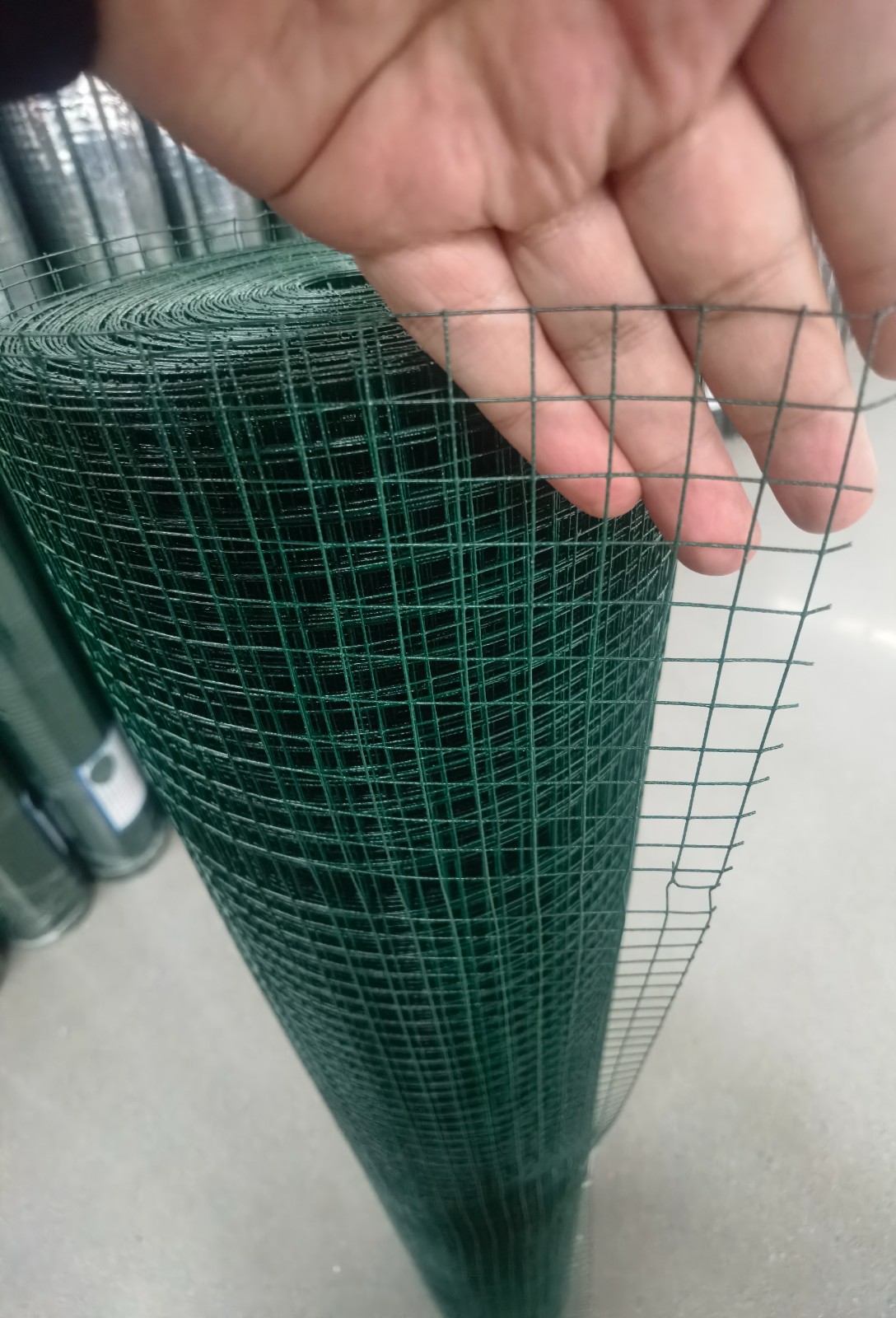 Galvanized Welded Wire Mesh