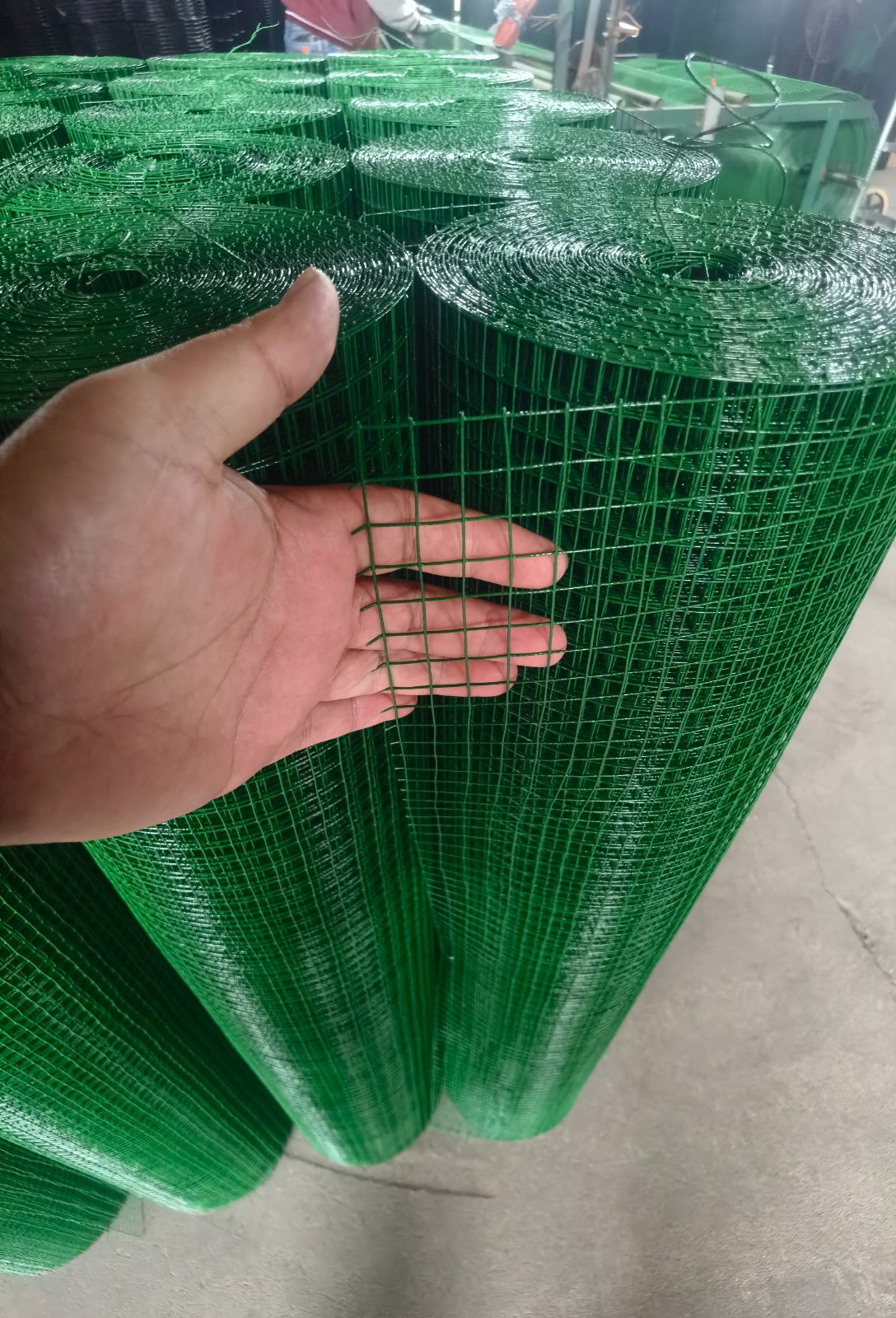Galvanized Welded Wire Mesh Galvanized Welded Wire Mesh