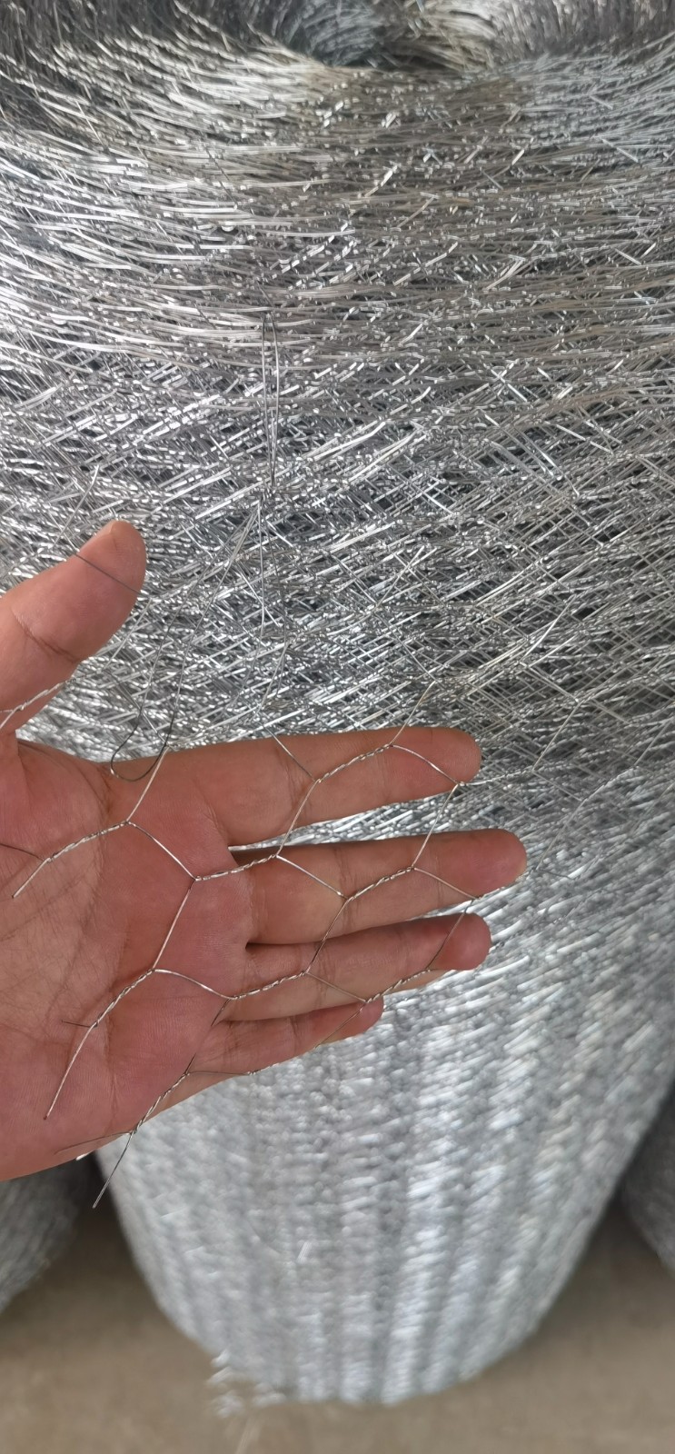 Galvanized Welded Wire Mesh