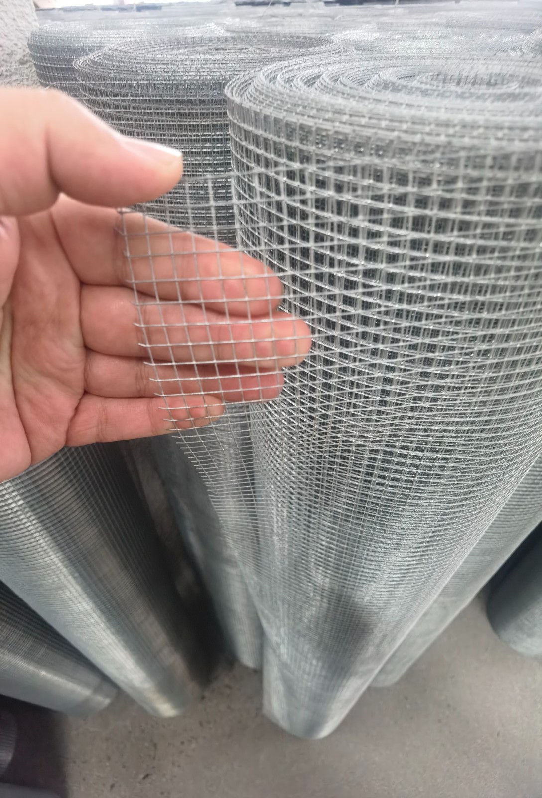 Galvanized Welded Wire Mesh Galvanized Welded Wire Mesh