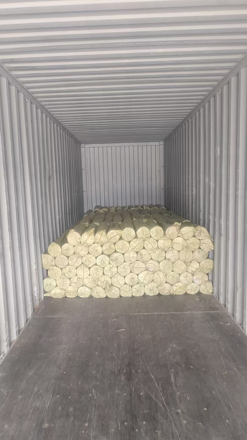 Galvanized Welded Wire Mesh