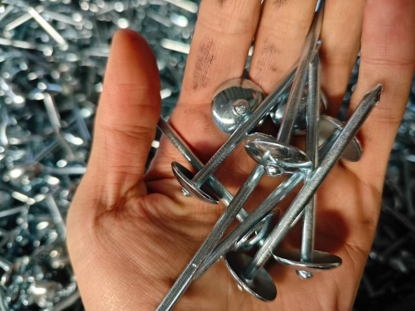 Comprar Clavos de techo, Clavos de techo Precios, Clavos de techo Marcas, Clavos de techo Fabricante, Clavos de techo Citas, Clavos de techo Empresa.