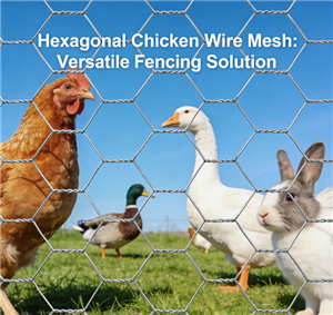 Hexagonal chicken wire mesh & netting