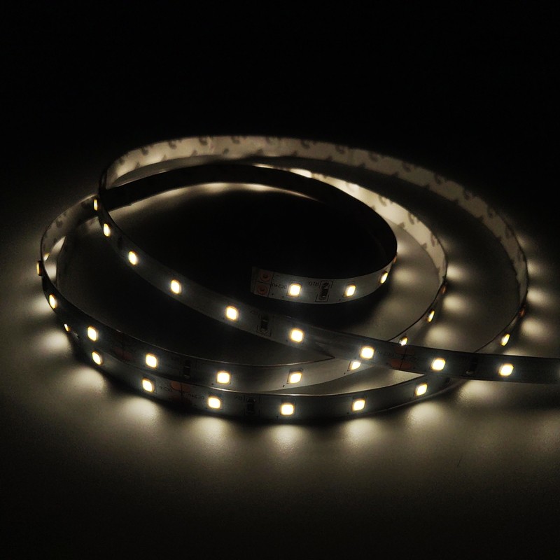 2835(FS) 60LEDS 4.8W