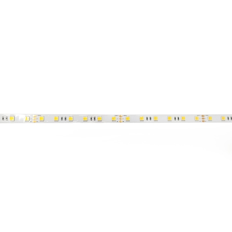 5050 (CW + WW 2IN1) 60LEDS 14,4W