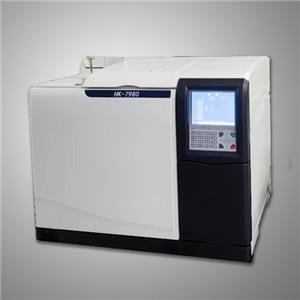 Cromatógrafo a gás HK-7980