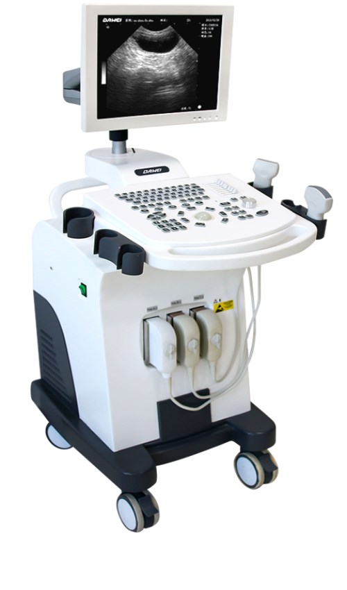 Veterinary ultrasound Veterinary ultrasound