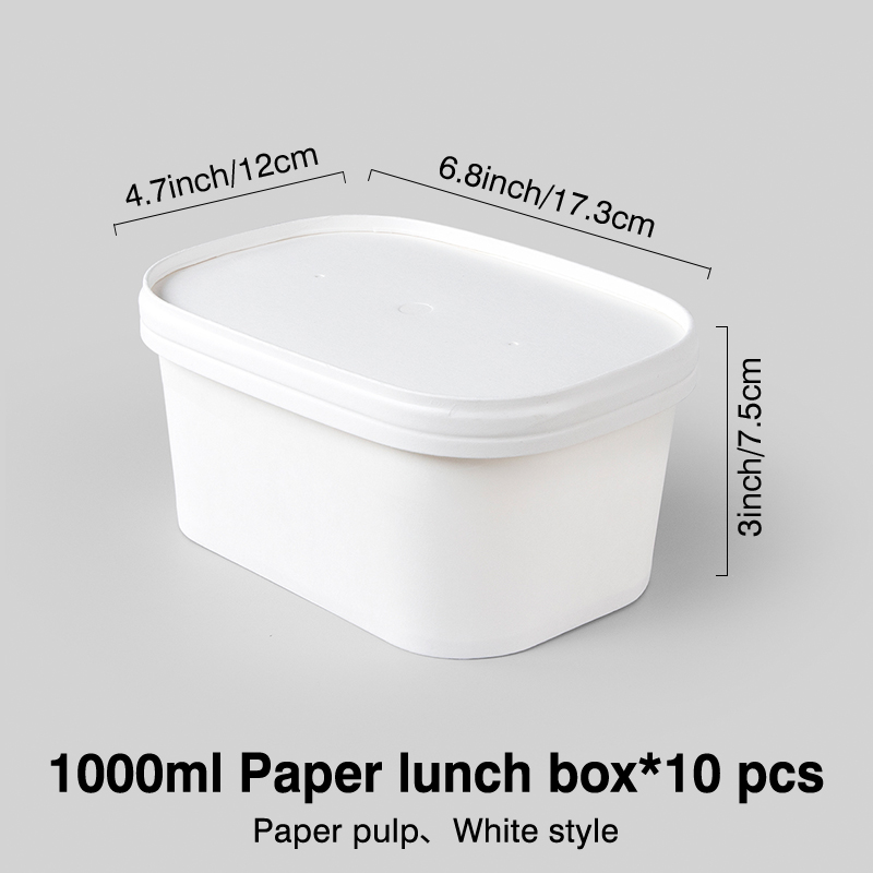 disposable lunch box
