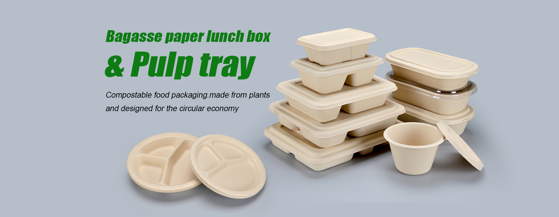 Degradable pulp lunch box