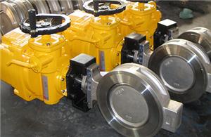 Beli  Wafer Type keramik kupu-kupu katup,Wafer Type keramik kupu-kupu katup Harga,Wafer Type keramik kupu-kupu katup Merek,Wafer Type keramik kupu-kupu katup Produsen,Wafer Type keramik kupu-kupu katup Quotes,Wafer Type keramik kupu-kupu katup Perusahaan,