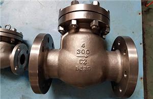Titanium Valves
