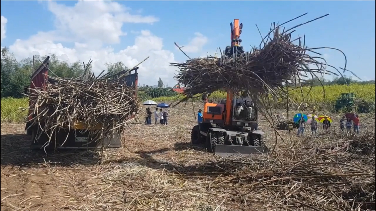 Rotary Grab Excavator