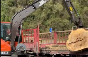 Grab the wood machine to help Southeast Asia forestry base efficient operation