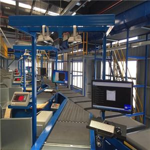 Automated Parcel Sorting Solutions
