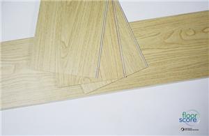 Kindergarten Eco-friendly 5.0mm SPC Flooring