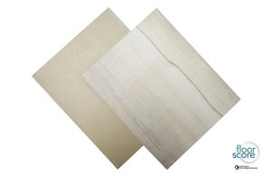Luxury Commercial 5.5mm SPC Vinyl Flooring
