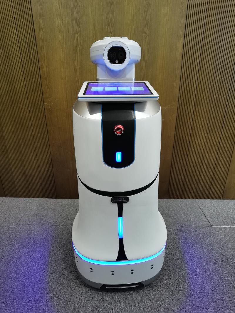 Disinfection and sanitation robot