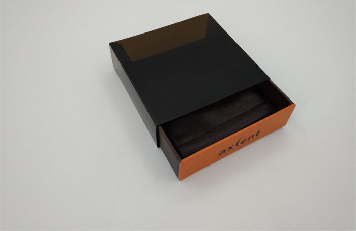 Luxury watch box
