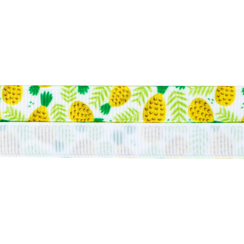 Ruban de fruits d'été, ruban imprimé de 9 mm, ruban imprimé de fruits, fournisseurs de ruban imprimé