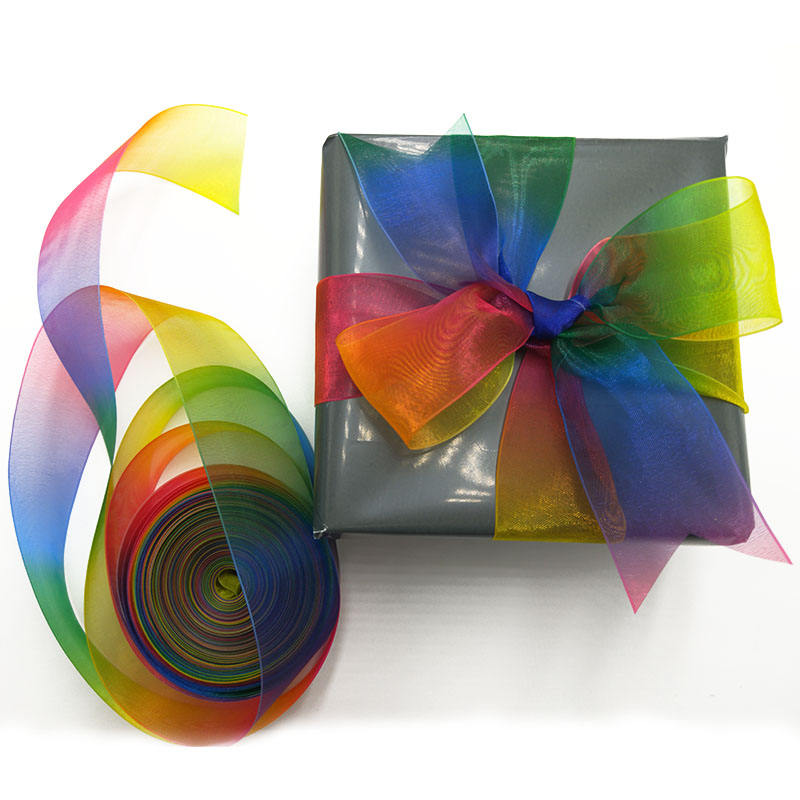 Iridescent Organza Ribbon | 4cm Rainbow DIY Print