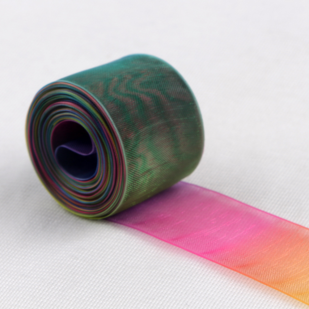 Iridescent Organza Ribbon | 4cm Rainbow DIY Print