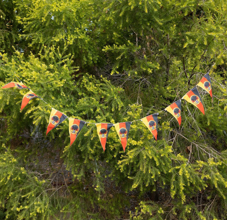 2026 FIFA World Cup Banner Pull Flag Fan Party Atmosphere Setup