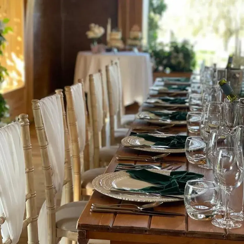 Jumbo Custom Embroidered Velvet Bow Napkins Wedding