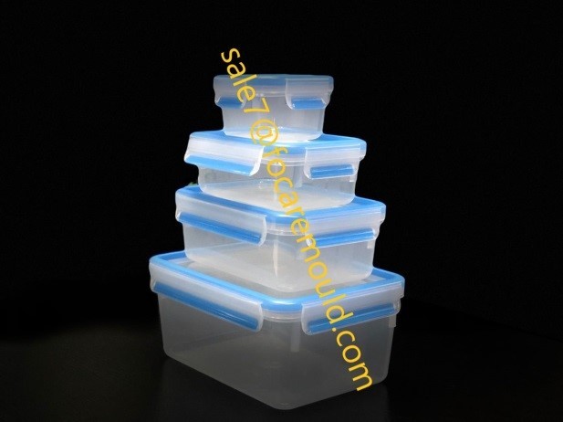 High quality Two-Color Plastic Lid Injection Mould of Freshness Food Containers Quotes,China Two-Color Plastic Lid Injection Mould of Freshness Food Containers Factory,Two-Color Plastic Lid Injection Mould of Freshness Food Containers Purchasing
