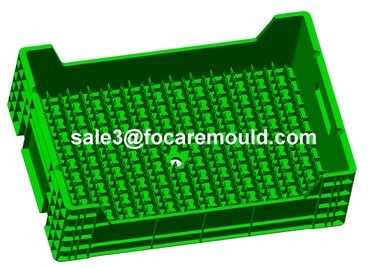 High quality Plastic Flower Transportation Crate Injection Mould Quotes,China Plastic Flower Transportation Crate Injection Mould Factory,Plastic Flower Transportation Crate Injection Mould Purchasing