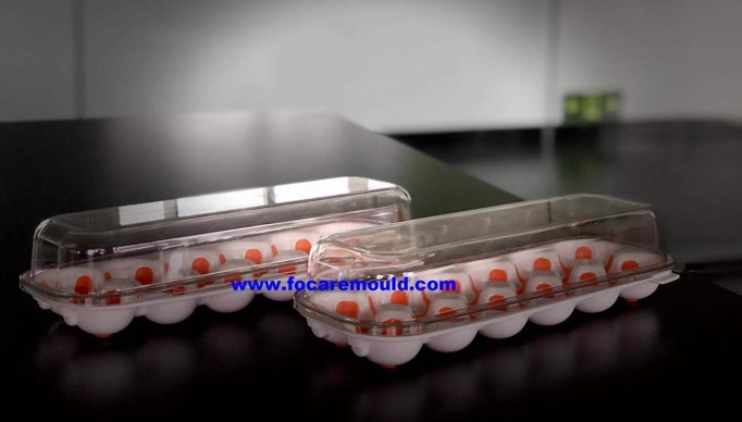 Durable Double Color Plastic Egg Tray