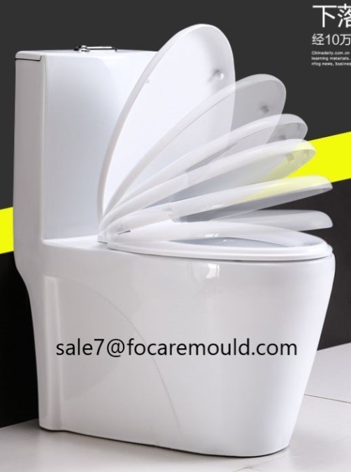 High quality Toilet Seat and Lid Plastic Injection Mould Quotes,China Toilet Seat and Lid Plastic Injection Mould Factory,Toilet Seat and Lid Plastic Injection Mould Purchasing