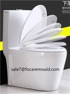Toilet Seat and Lid Plastic Injection Mould