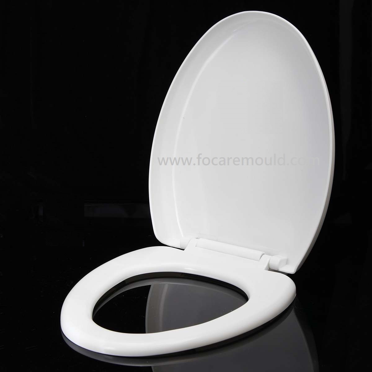 High quality Toilet Seat and Lid Plastic Injection Mould Quotes,China Toilet Seat and Lid Plastic Injection Mould Factory,Toilet Seat and Lid Plastic Injection Mould Purchasing