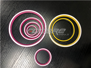Two color SWR seal ring plastic injection mould