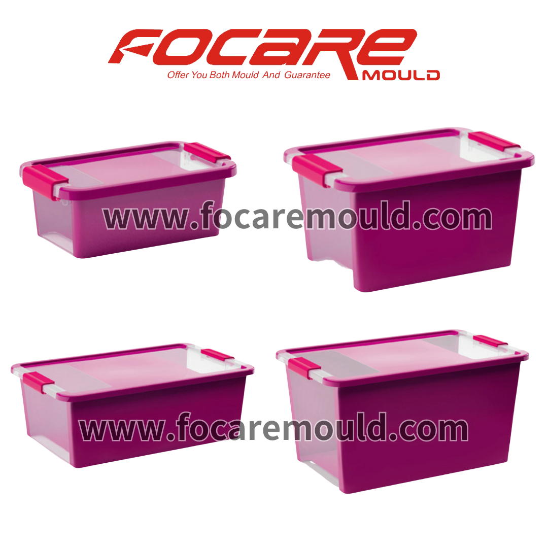 Two color storage box mold