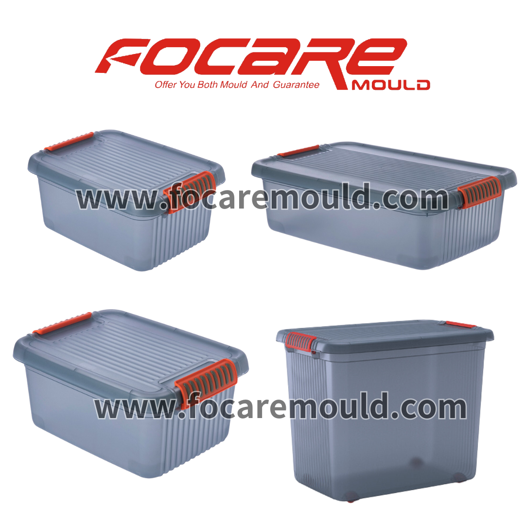 Two color tool storage box mold