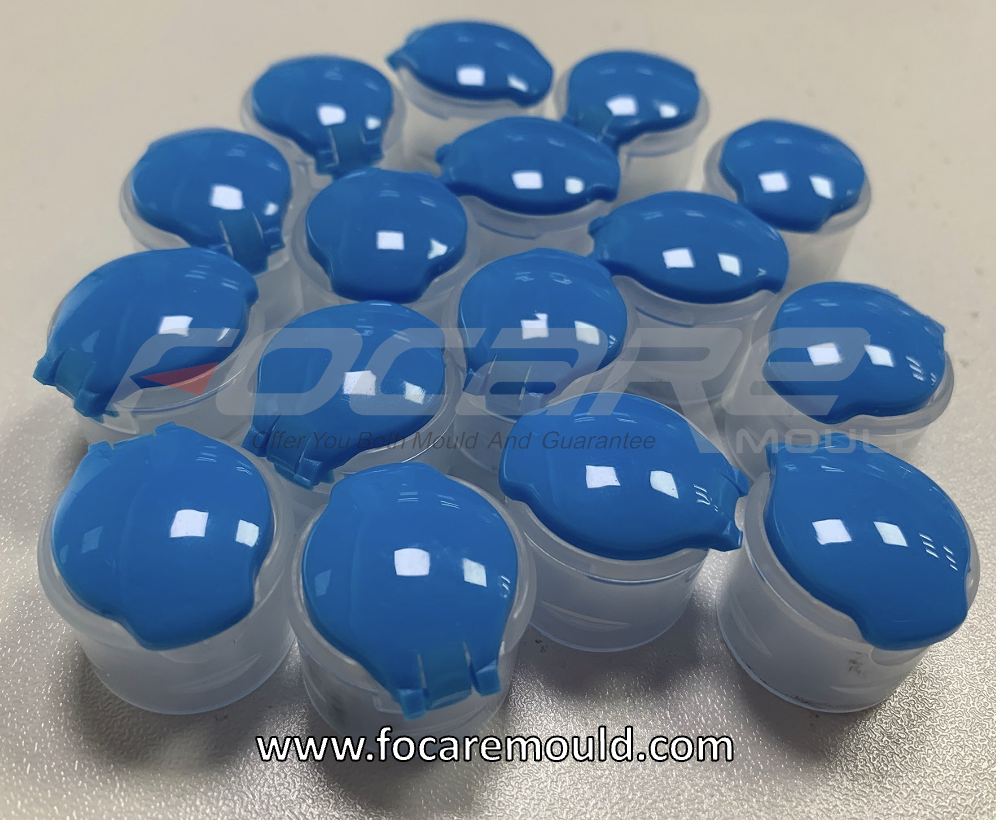 High quality Two color 20mm flip top cap mold Quotes,China Two color 20mm flip top cap mold Factory,Two color 20mm flip top cap mold Purchasing