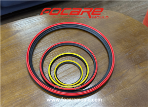 Two Color Seal Ring Mold