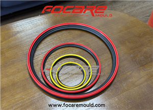 Two Color Seal Ring Mold