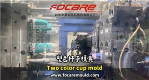 Two color plastic cup mold