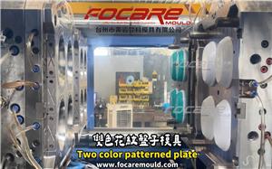 Two color patterned plate mold