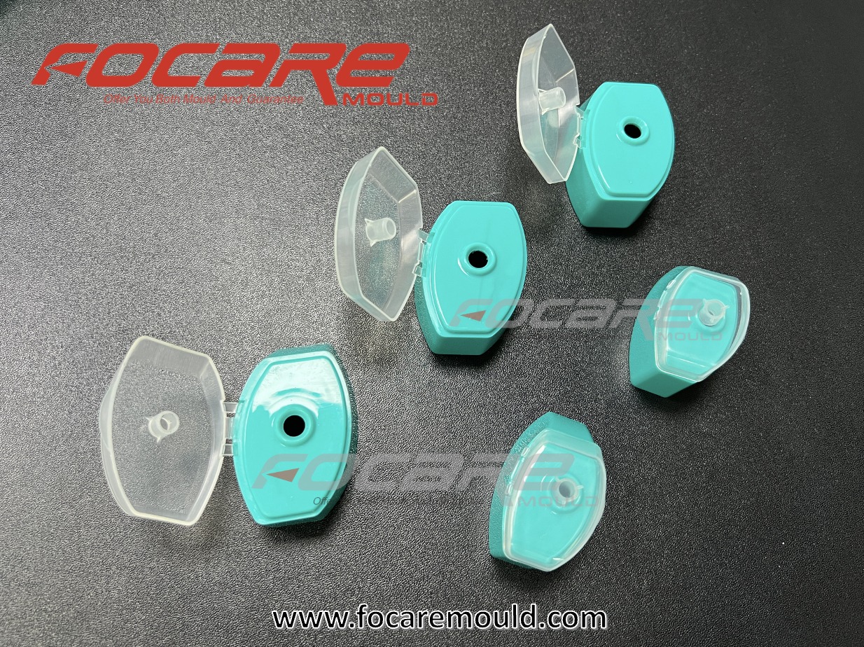 Two Color Flip Top Cap Mold