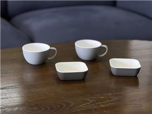 Two-Color Airline Coffee Cup & Airline Square Bowl Mold