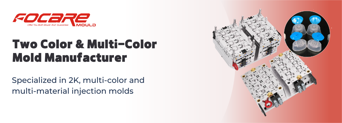 Two Color & Multi-Color Mold Manufacturer