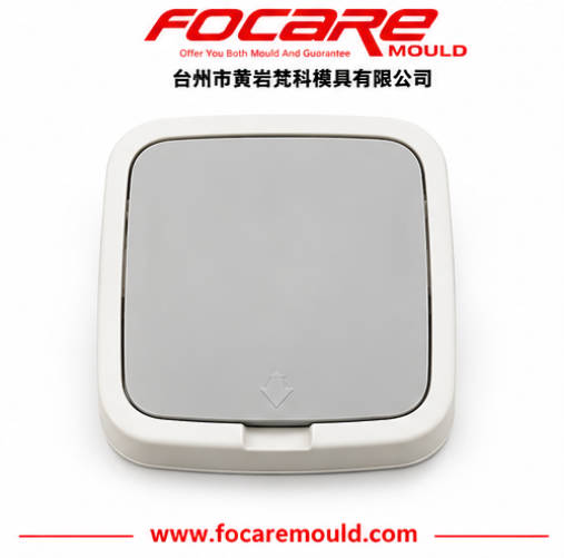 Swing Lid Dustbin Mould