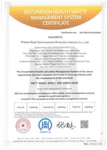 ISO45001 Wuhan Xinhongjin Materials Co., Ltd. certification