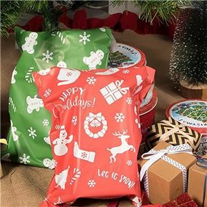 Biologisch afbreekbare composteerbare Express Mail Bag