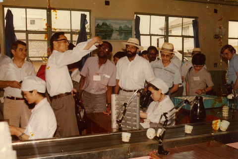 Representatives of embassies in China